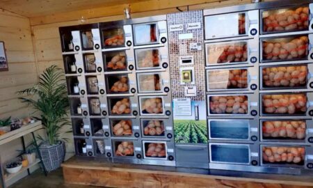 automat cartofi sursa foto arhiva companiei