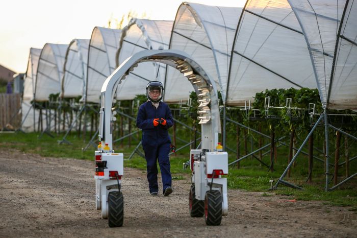 roboti agricoli