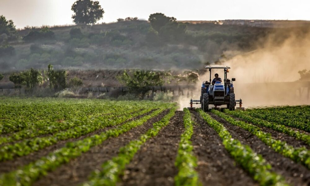 2025 vine cu oportunități de finanțare în agricultură. Care sunt condițiile pentru fermieri