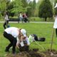 Pădure de la zero la Curtea de Argeș!  400 de voluntari vor planta 15.000 de puieți