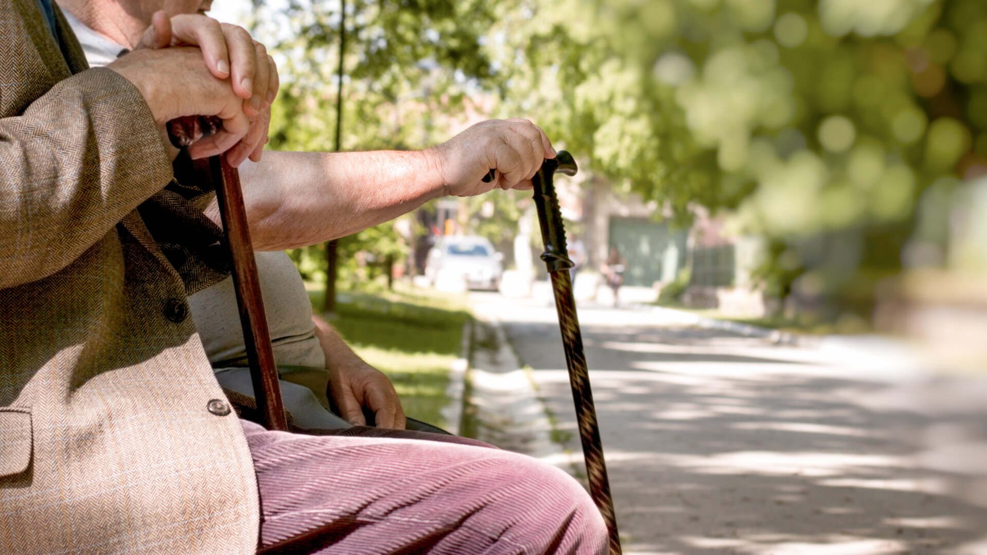 pensionari (sursă foto: stirileprotv.ro)