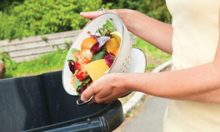 alimente gunoi (sursă foto: studiu-online.ro) gunoiul