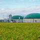 Fermierii pot accesa fonduri pentru înfiinţarea unor stații de producere a energiei din gunoi de grajd