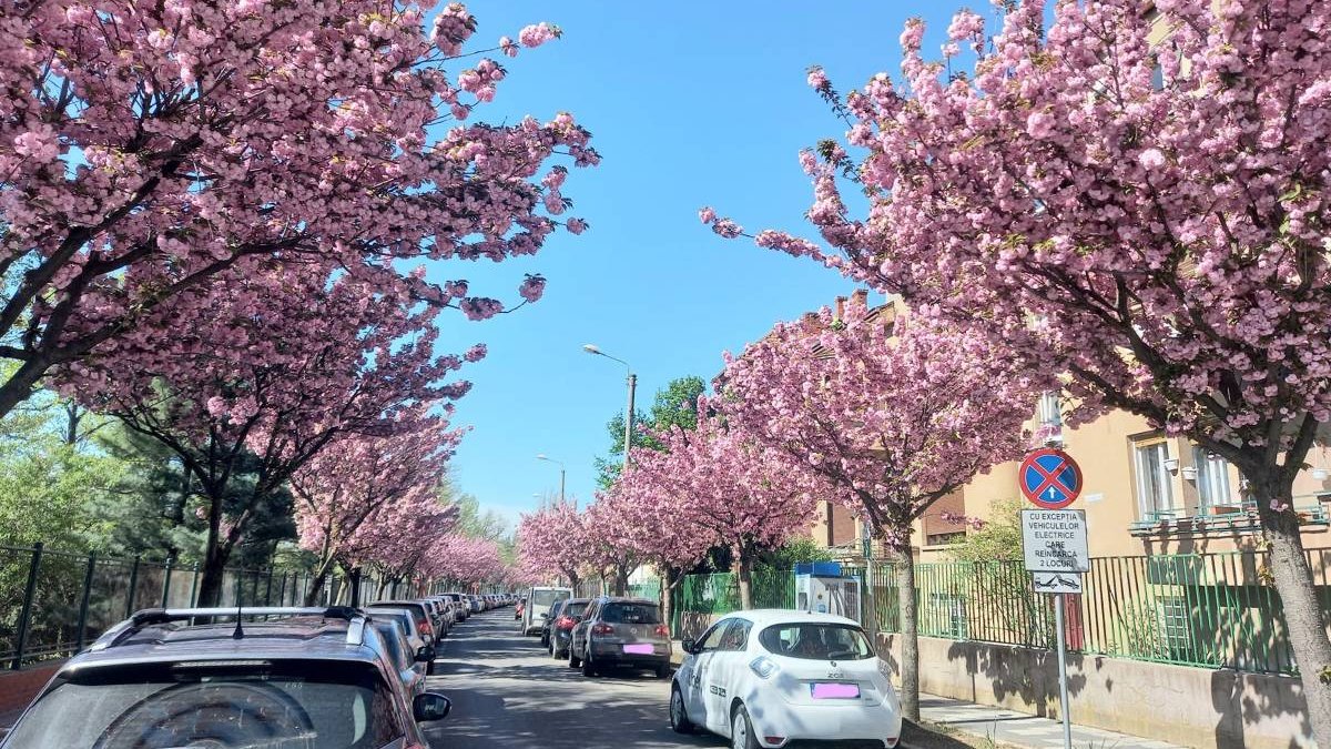 Cea mai frumoasă stradă din Europa, sursa foto: antena3.ro