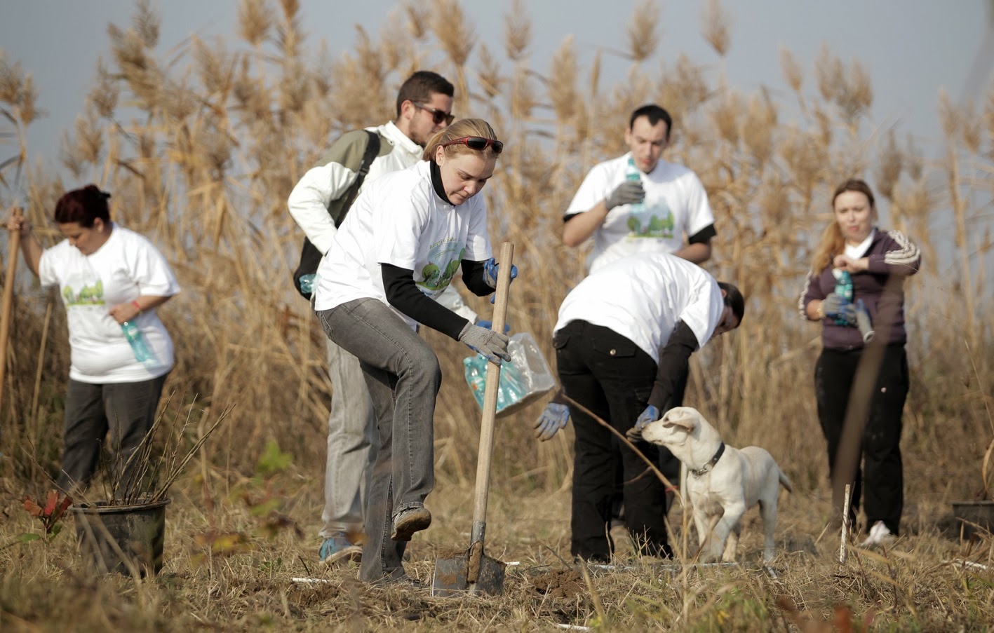 Voluntariat (Sursă foto: Arhivă)