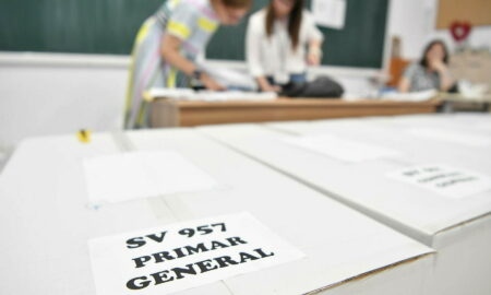 alegeri vot (sursă foto: stirileprotv.ro)