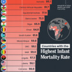 Lumea în cifre: Ce țări au cele mai mari rate de mortalitate infantilă?