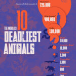 Lumea în cifre: Top 10 cele mai periculoase animale