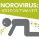 Dacă mergi în Italia, Atenție la norovirus! Localitatea turistică Torri Del Benaco este puternic afectată