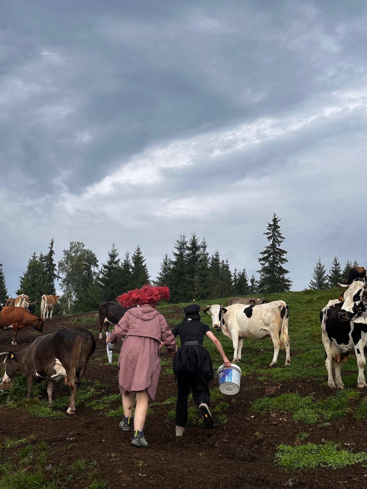 La stână, sursa foto: arhiva companiei 