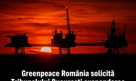 Greenpeace România cere suspendarea imediată a acordului de mediu pentru proiectul Neptun Deep