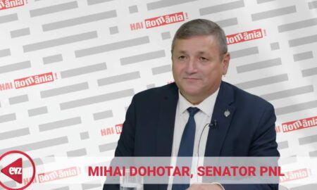 Impactul Diaspora în alegerile electorale. Mihai Dohotar, senator PNL: „Numărul votanților va fi undeva la 500.000 de români” . Video