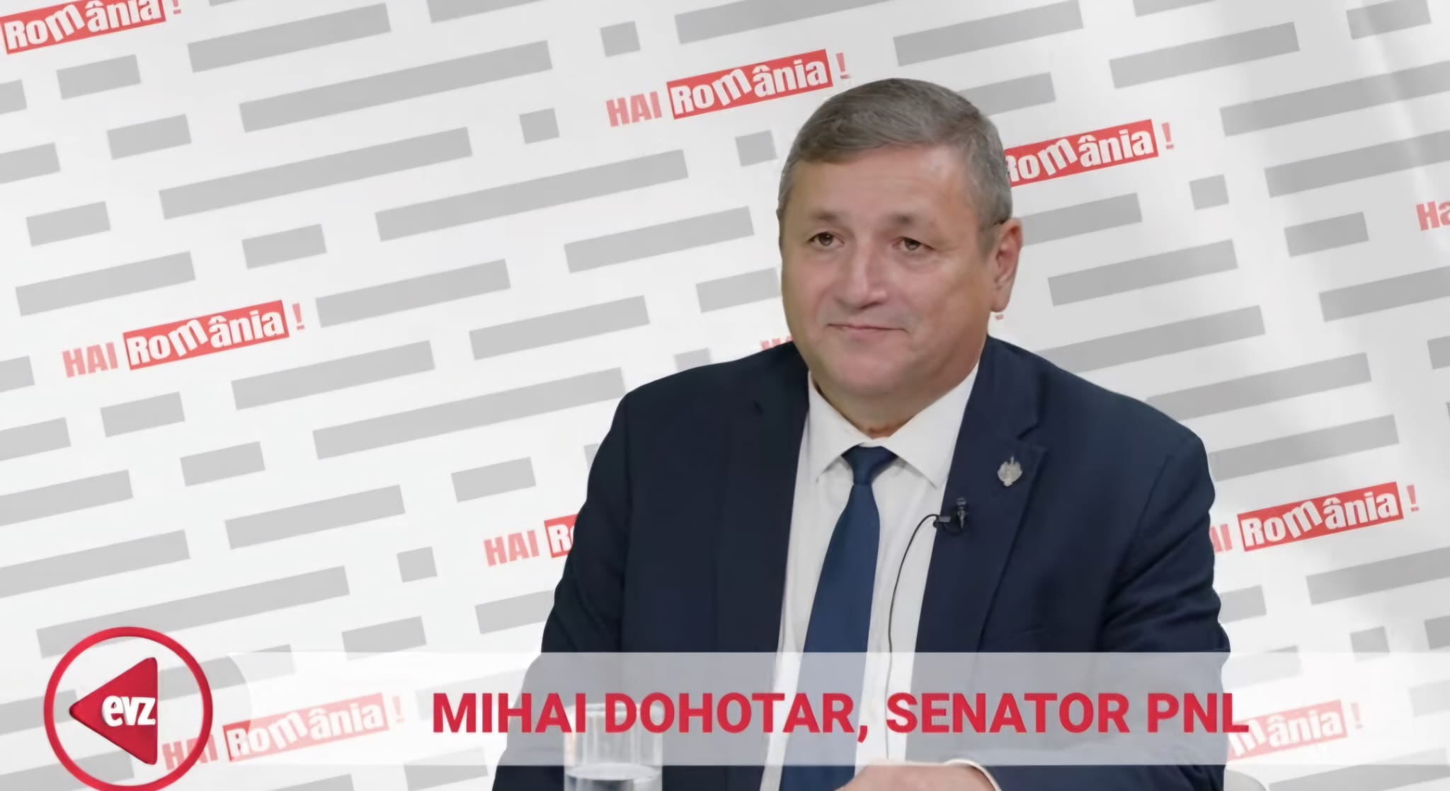 Impactul Diaspora în alegerile electorale. Mihai Dohotar, senator PNL: „Numărul votanților va fi undeva la 500.000 de români” . Video