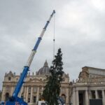 Magia Crăciunului la Vatican. Bradul de 29 de metri împodobește Piața San Pietro