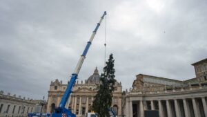 Magia Crăciunului la Vatican. Bradul de 29 de metri împodobește Piața San Pietro