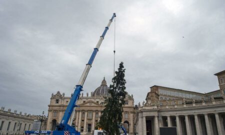 Magia Crăciunului la Vatican. Bradul de 29 de metri împodobește Piața San Pietro