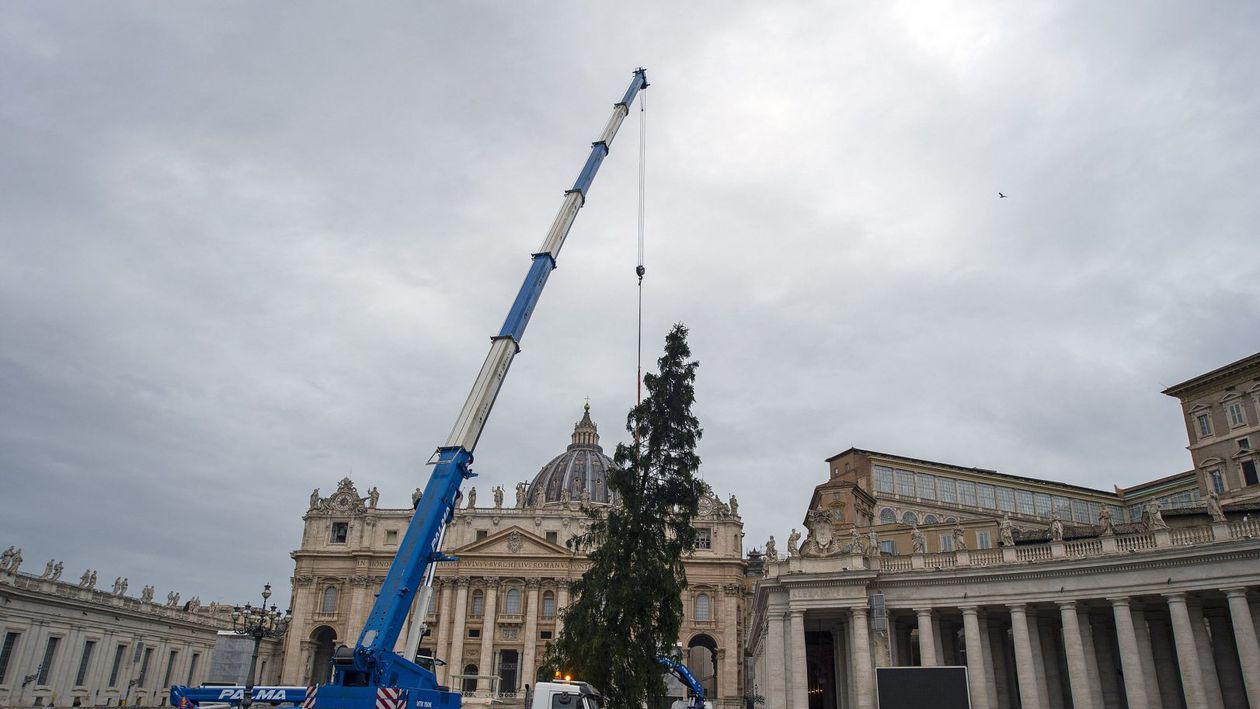 Magia Crăciunului la Vatican. Bradul de 29 de metri împodobește Piața San Pietro